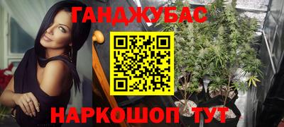 PSILOCYBIN Будённовск