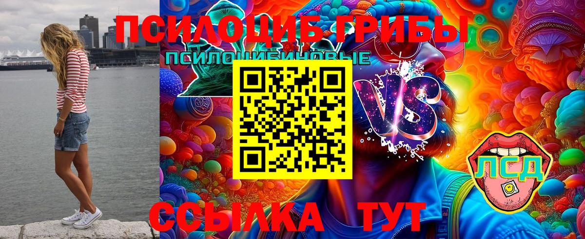 Галлюциногенные грибы ЛСД  купить   Шали  Вход с VPN 